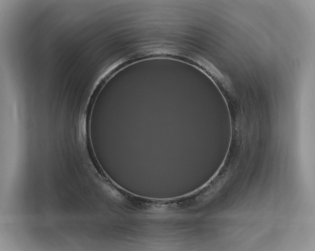 X0000112910790200908241205