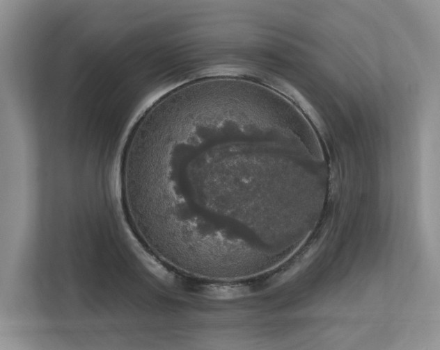 X0000112910795200908241205