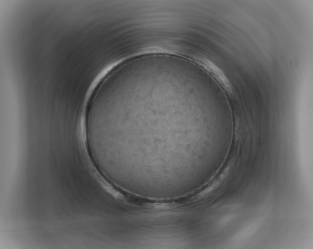 X0000112910796200908241205