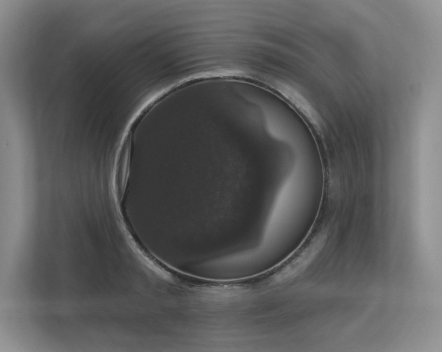 X0000112910797200908241205