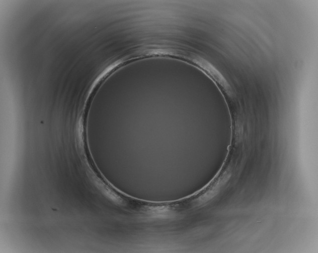 X0000112910798200908241205