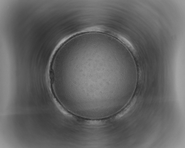 X0000112910800200908241205