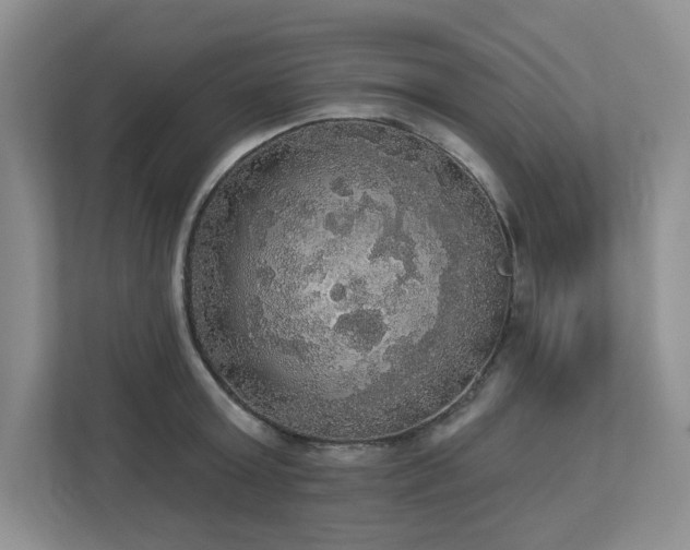 X0000112910803200908241205