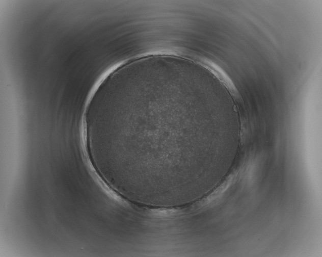 X0000112910804200908241205