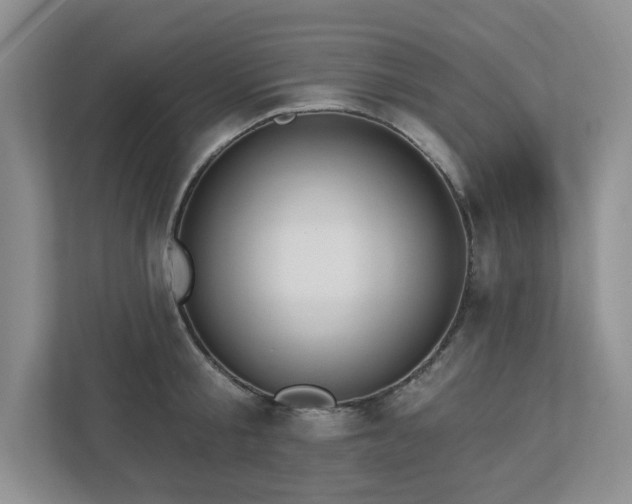 X0000112910805200908241205