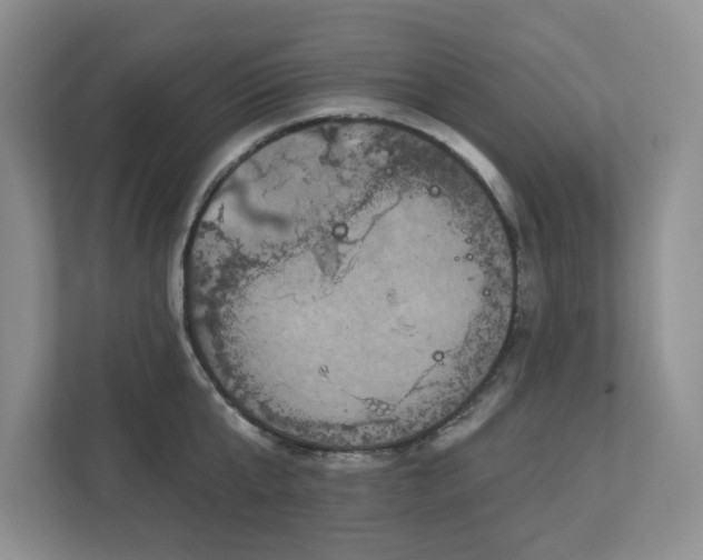 X0000112910807200908241205