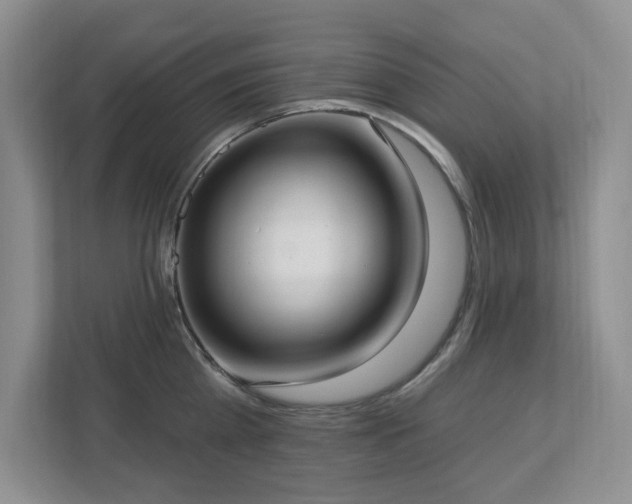 X0000112910809200908241205