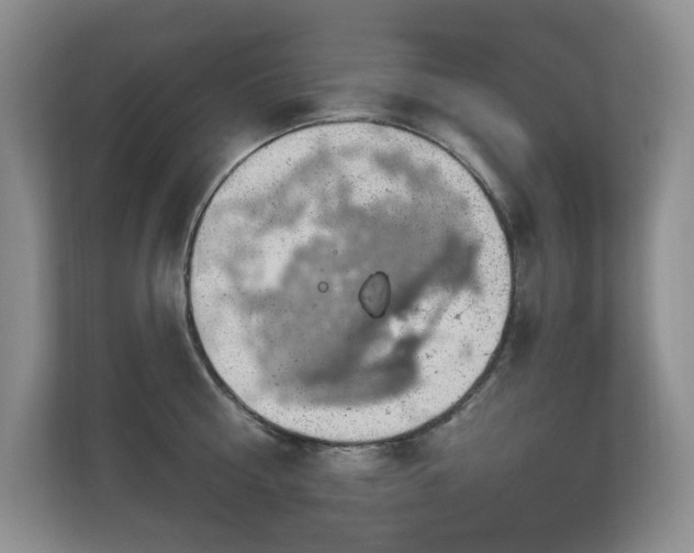 X0000112910810200908241205