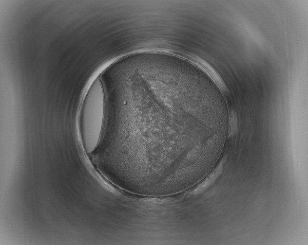 X0000112910812200908241205