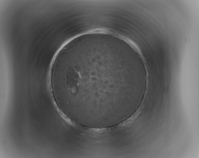 X0000112910816200908241205