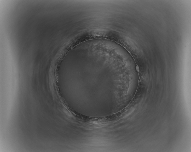 X0000112910817200908241204