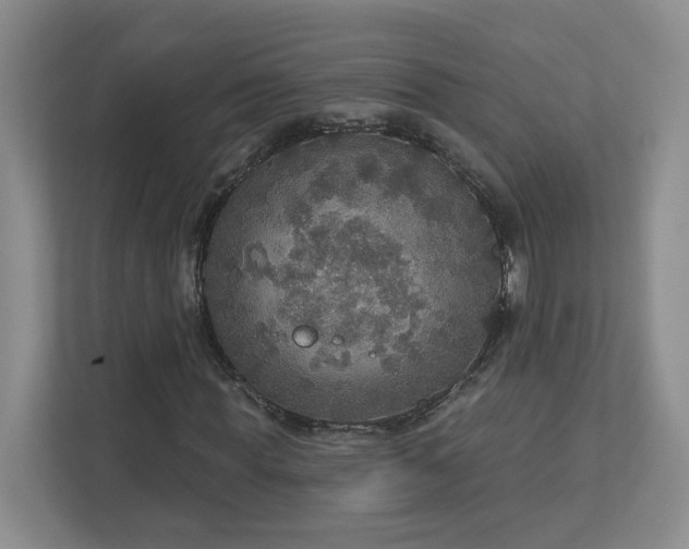 X0000112910819200908241204