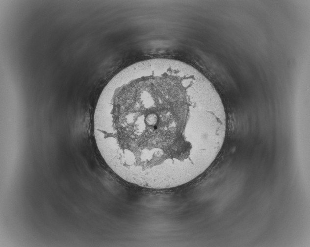 X0000112910820200908241204