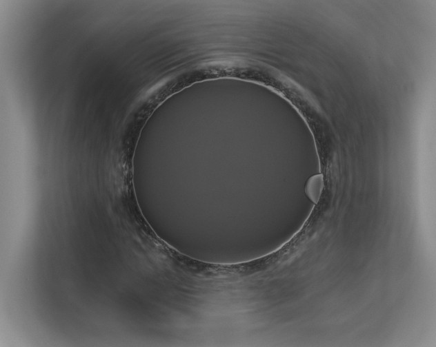 X0000112910822200908241204