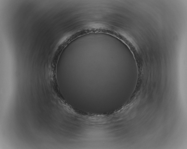 X0000112910823200908241204