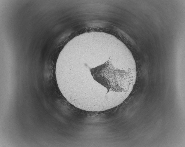 X0000112910824200908241204