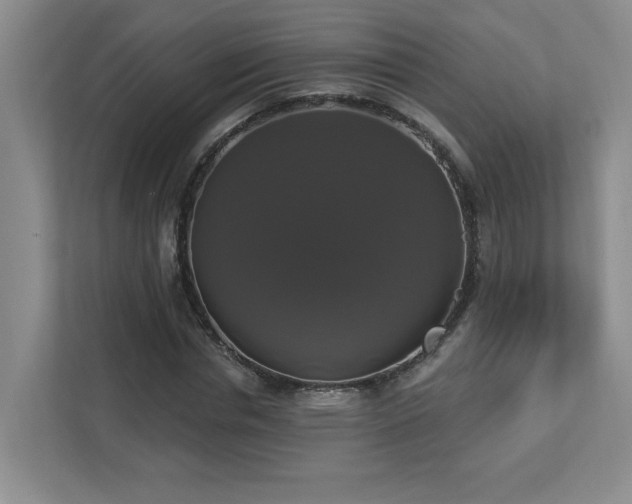 X0000112910826200908241204