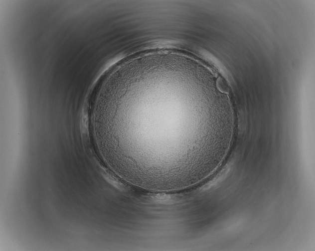 X0000112910827200908241204