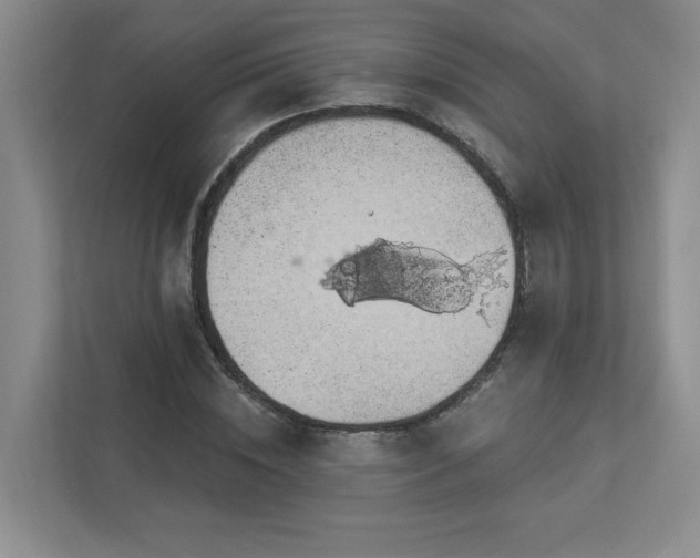 X0000112910828200908241204