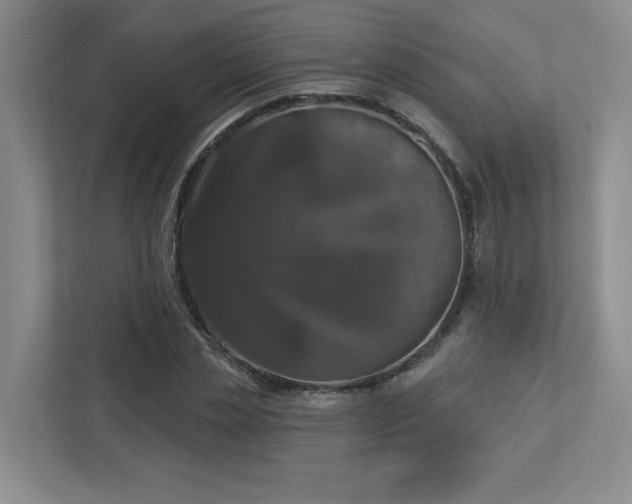 X0000112910829200908241204