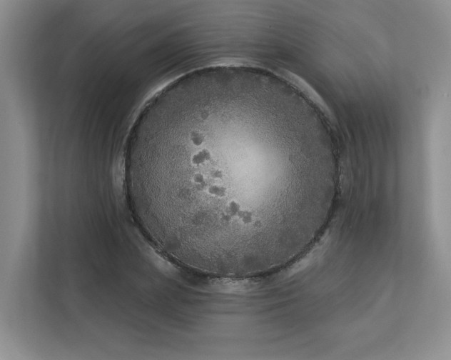 X0000112910831200908241204