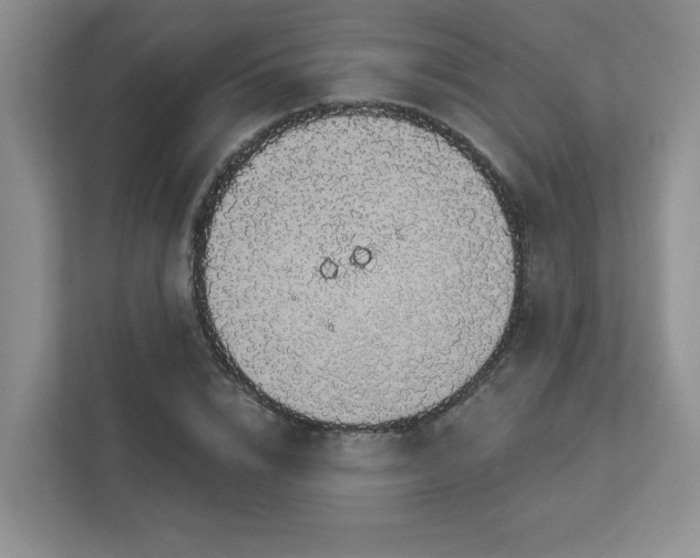 X0000112910832200908241204