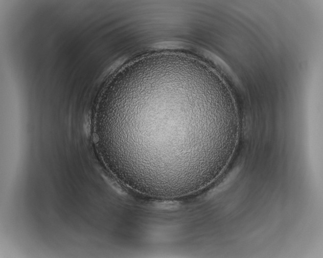 X0000112910833200908241204