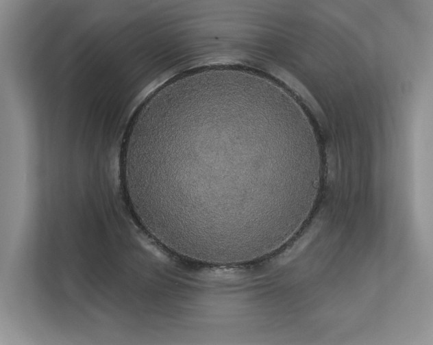 X0000112910834200908241204