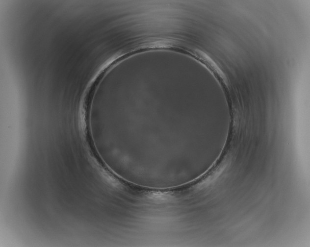 X0000112910835200908241204