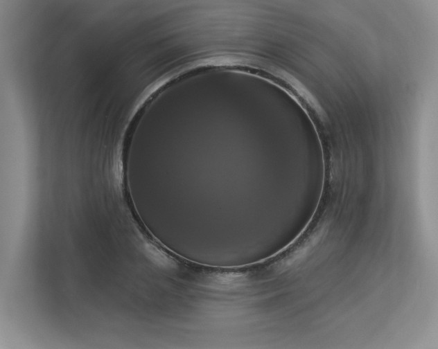 X0000112910837200908241204