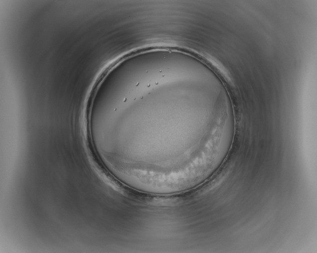 X0000112910840200908241204