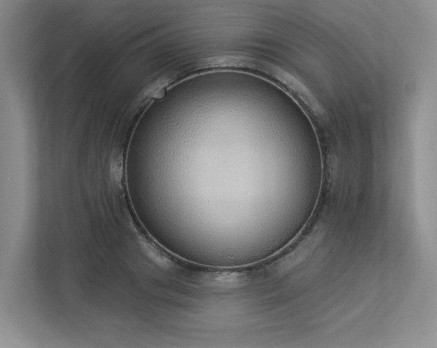 X0000112910841200908241204