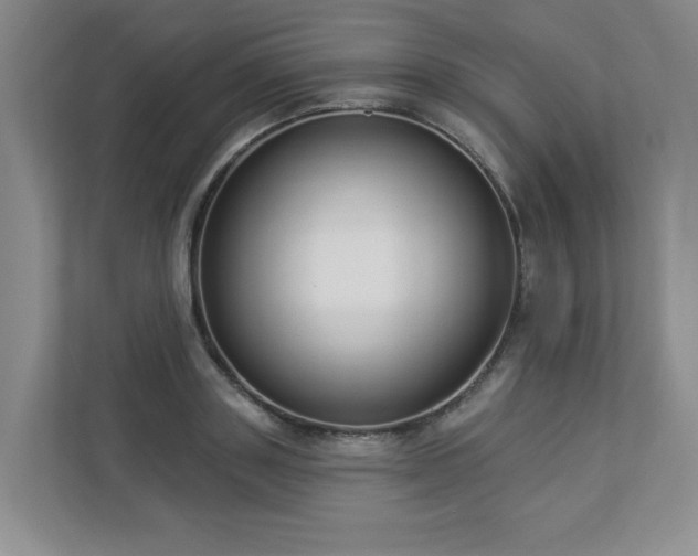 X0000112910843200908241204