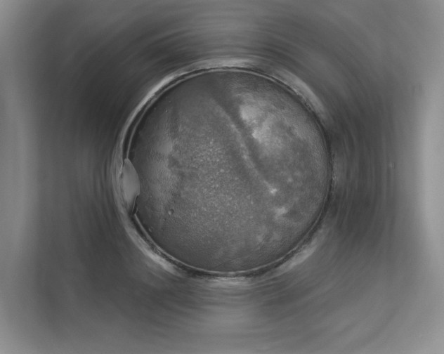 X0000112910844200908241204