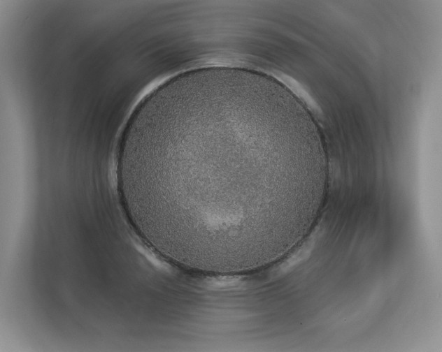 X0000112910846200908241204