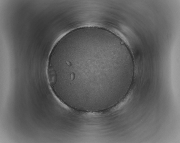 X0000112910847200908241204