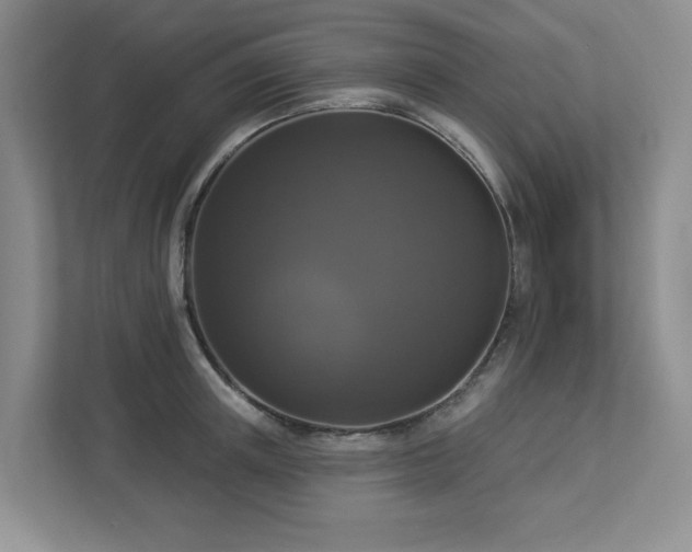 X0000112910851200908241204