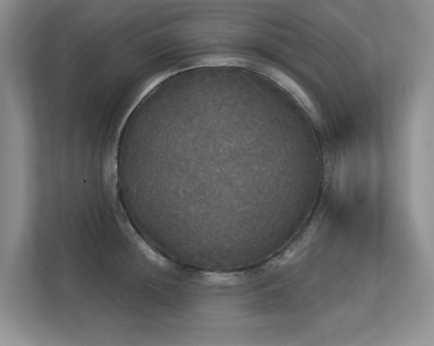 X0000112910852200908241204