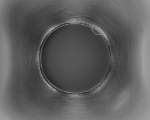 X0000112910855200908241204