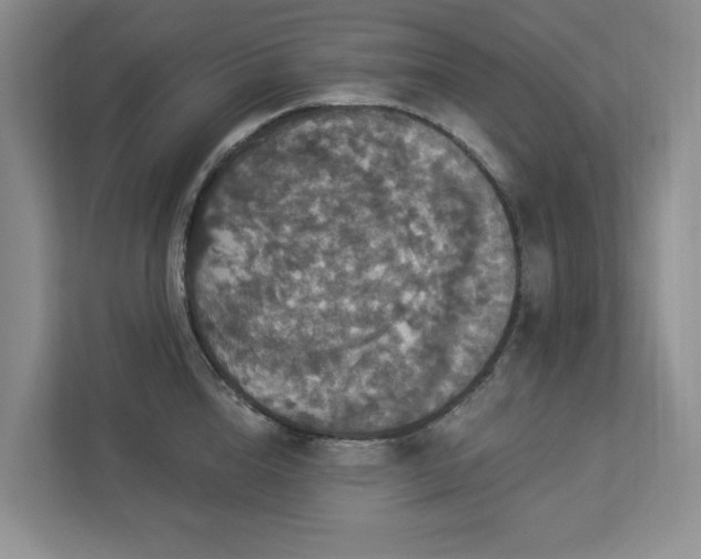 X0000112910856200908241204