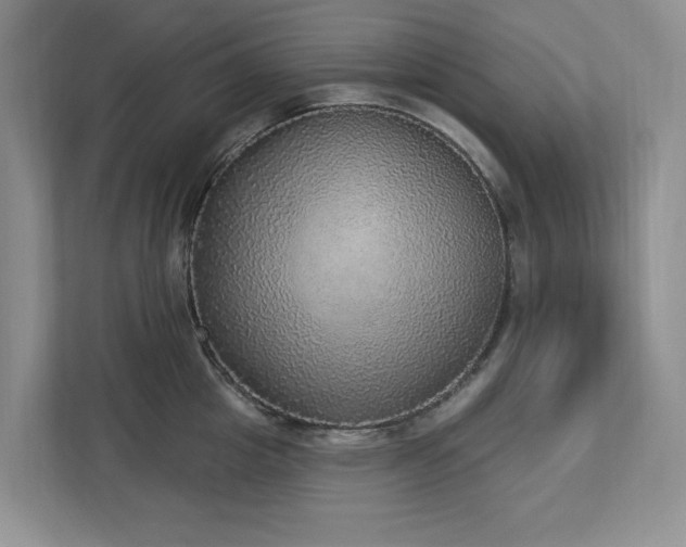 X0000112910857200908241204