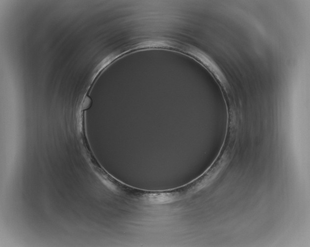 X0000112910858200908241204