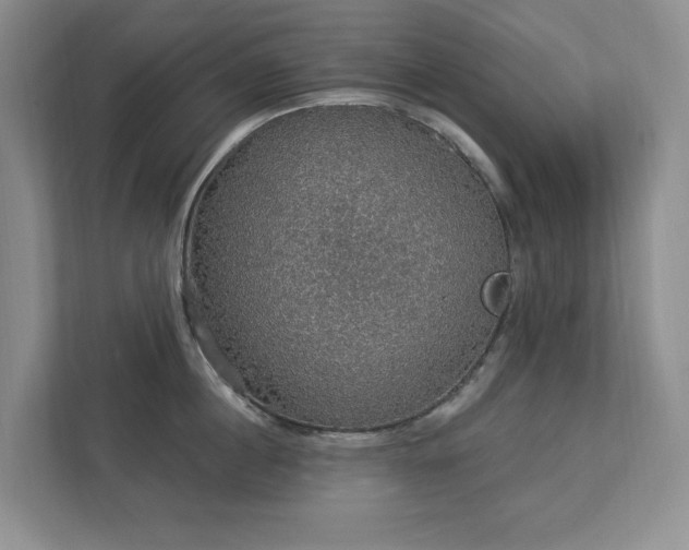 X0000112910860200908241205