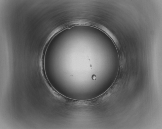 X0000112910861200908241205