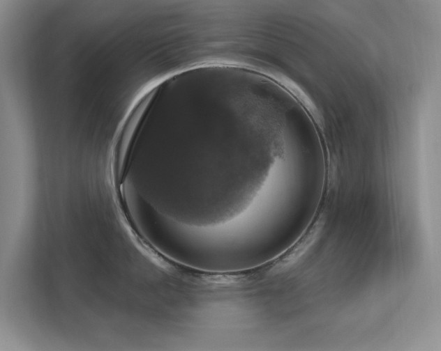 X0000112910862200908241205