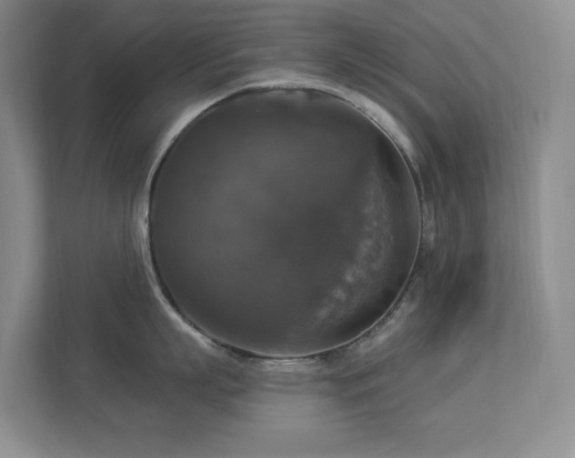 X0000112910863200908241205