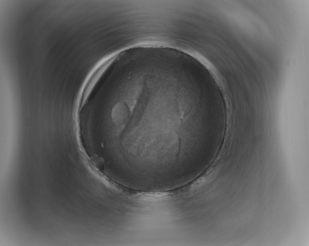 X0000112910864200908241205