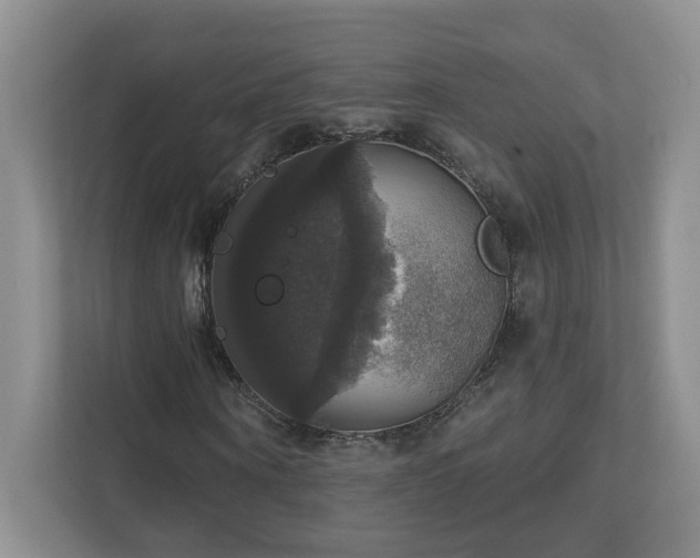 X0000112910866200908241204