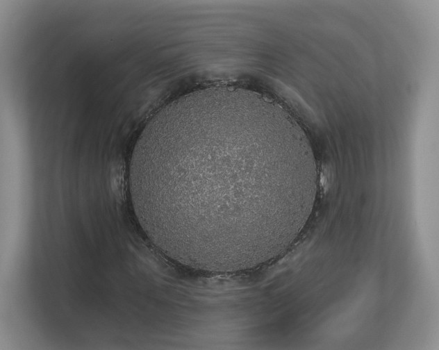 X0000112910867200908241204