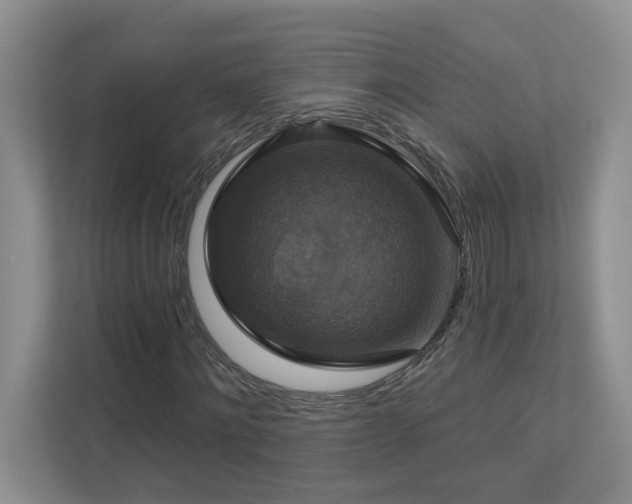 X0000112910868200908241204